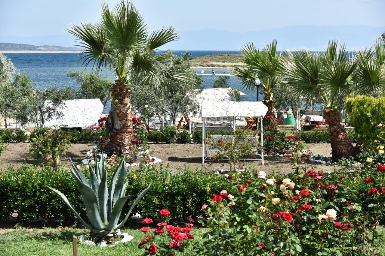 Cunda Asiyan Otel Ayvalı Eksteriør bilde