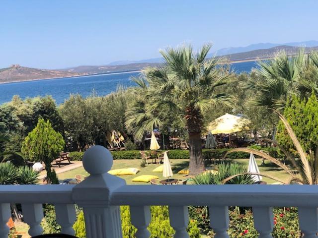 Cunda Asiyan Otel Ayvalı Eksteriør bilde